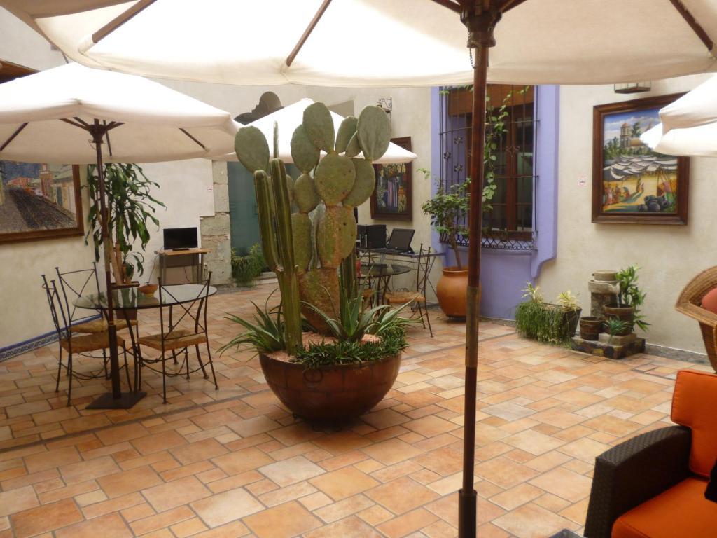 Hotel Trébol Oaxaca Szoba fotó